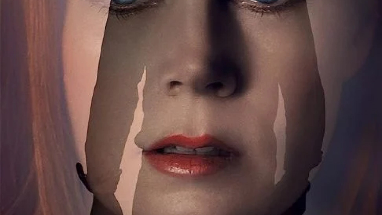 Nocturnal Animals ( 2016 )