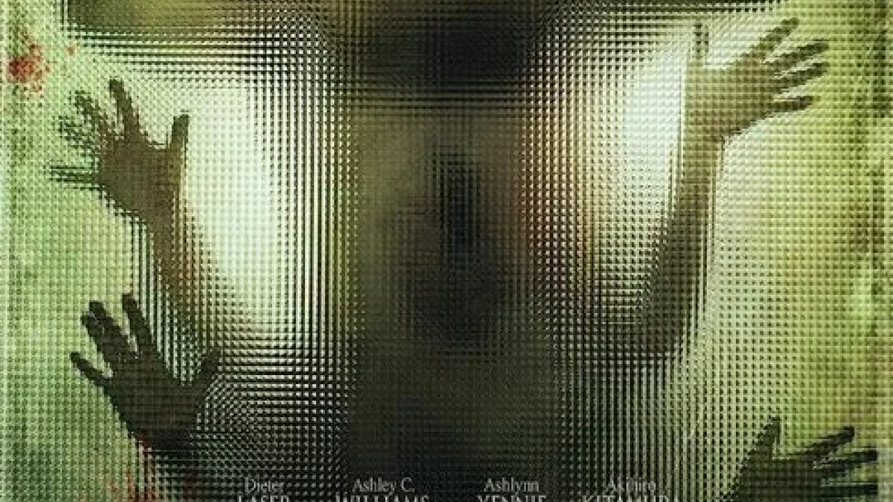 The Human Centipede First Sequence ( 2009 )