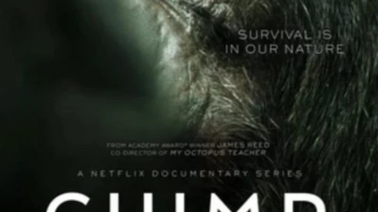 Chimp Empire الموسم الاول الحلقة 4